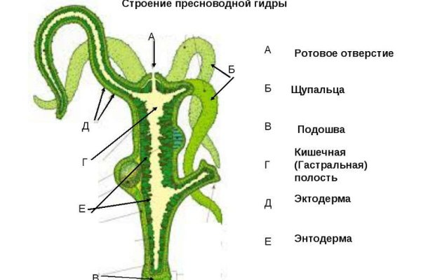 Кракен тор текст